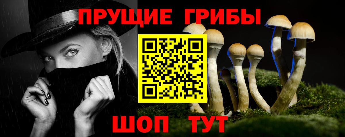 Вольск  Галлюциногенные грибы мицелий  Вход с VPN  Галлюциногенные грибы ЛСД 